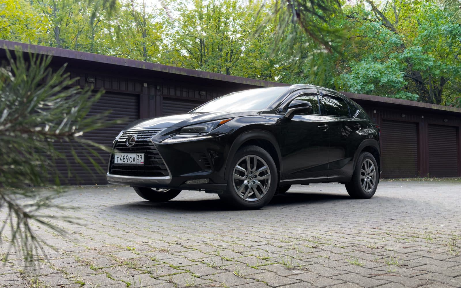 LEXUS NX200 2020 — фото 1 в аренду в Калининграде — LiteRent