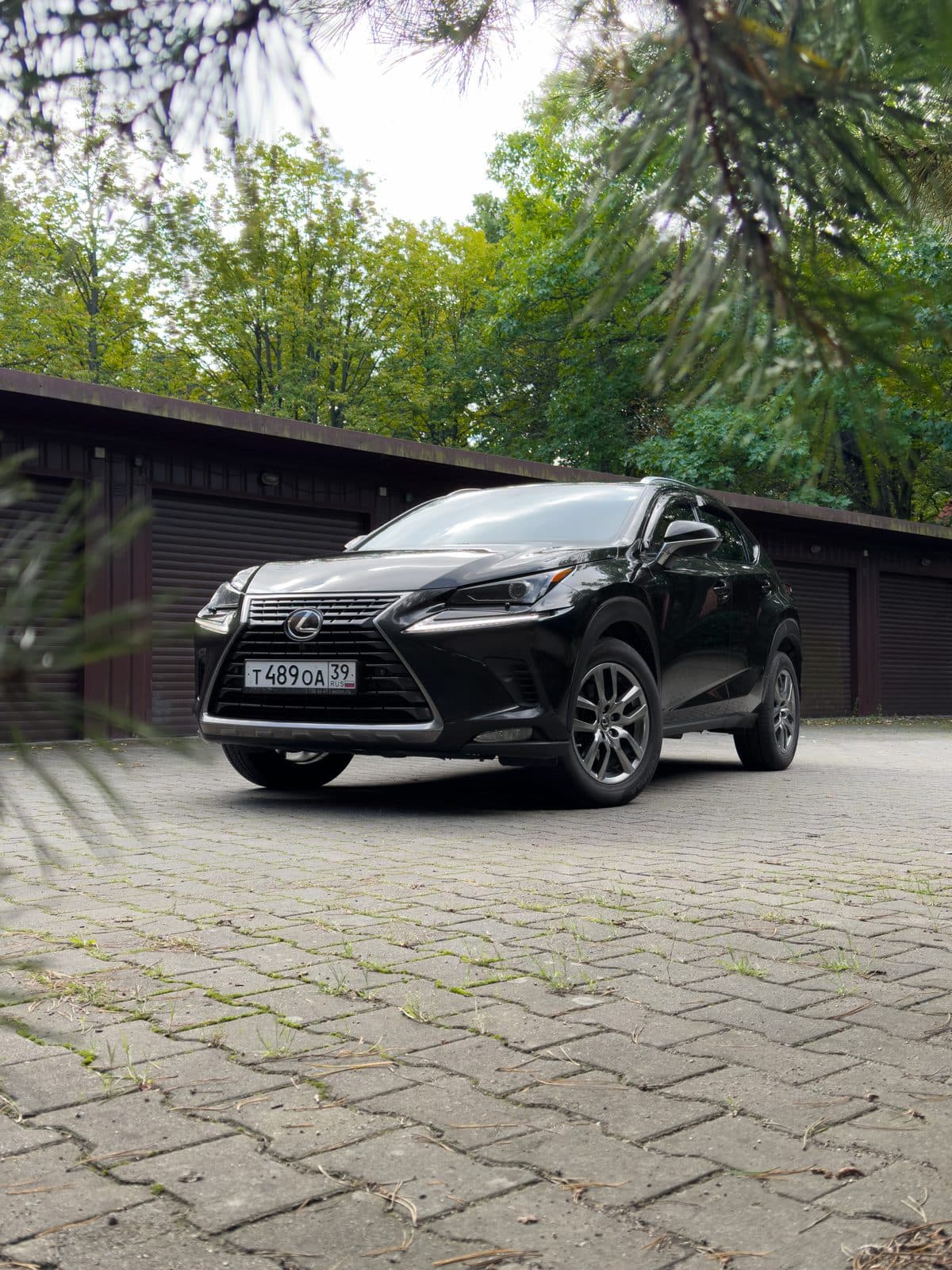 LEXUS NX200 2020 — фото 2 в аренду в Калининграде — LiteRent